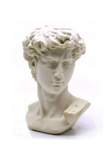 Michelangelo's David Bust